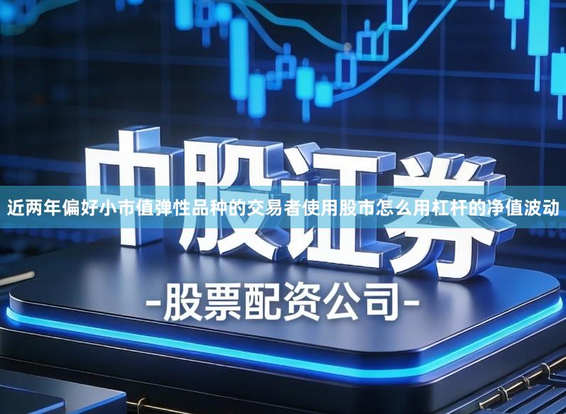 近两年偏好小市值弹性品种的交易者使用股市怎么用杠杆的净值波动