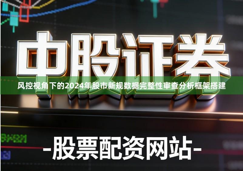 风控视角下的2024年股市新规数据完整性审查分析框架搭建